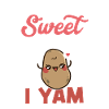 February Sweet Potato Yam Pair