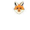 I Love Foxes