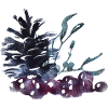 Winter plants
