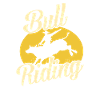 Bull Riding Western