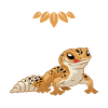 Gecko Vegans