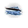 Captain boat license boating