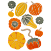 Pumpkins season