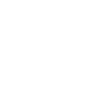 Barnsley coordinates