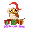 Merry Christmas Owl Christmas