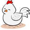 Chicken Chickens