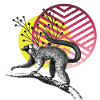 Lemur with rising sun