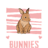 Rabbit Animal Pet Rabbit
