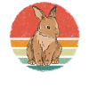 Rabbit Animal Pet Rabbit