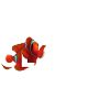 Clownfish Marine Fish Keeper