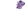 Octopus Octopus Cuttlefish Animal