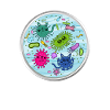 Meowcrobiology, Microbiology Cats