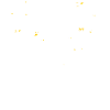 Penguins, Penguins, Penguin lovers