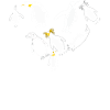 Pingouins, Pingouins, Amateurs de Pingouins