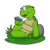 Turtle Read Book