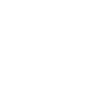 Bird in flight