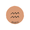 aquarius zodiac sign