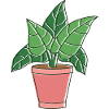fall plants for u