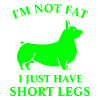 I'm Not Fat