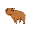 Capybara Wasserschwein