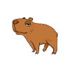Capybara Wasserschwein