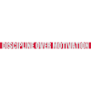 discipline over motivation quote