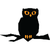Halloween Owl