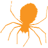 Spider Halloween