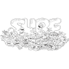 surf everywhere 2