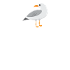 Vos gueules les mouettes