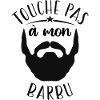 Touche Pas à Mon Barbu
