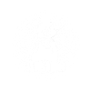 Aikido fighter with sword