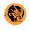Aikido fighter master dojo