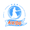 Aikido fighter with sword