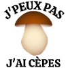 cèpes, champignon, ramasser des champignon
