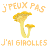 girolles, champignon, ramasseur de champignons