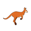Australisches Känguru Australisches Känguru-Hinter