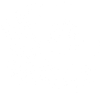 Moonlit Bloom Celestial Line Art