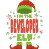 Software Developer Christmas Elf
