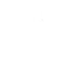 Heartbeat Longhair Bison Buffalo