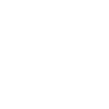 Shih Tzu - Chiens