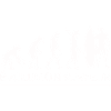évolution surfeur / cadeau surfeur