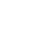 Shih-Poo - Dogs