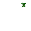 Poche poitrine Ficus