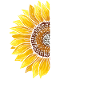Epilepsy Awareness Sunflower