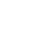 Siberian Husky - Dogs