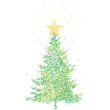 Christbaum Weihnachtsbaum Weihnachtsstern Stern