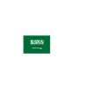 Saudi-Arabien Flagge Herzschlag