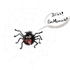 spinne
