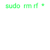 Linux sudo rm rf